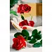 Картина за номерами Strateg Троянда на руці 50х25 см (WW018)