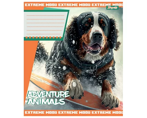 Зошит шкільний А5/24 лінія 1В Adventure animals  набір 20 шт. (766380)