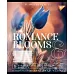 Зошит шкільний А5/24 лінія YES Romance blooms  набір 20 шт. (766396)