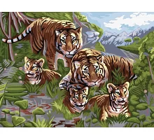 Картина по номерам №6 Тигры» 30*40см в кор. 42*32*35см Danko Toys код: KpN-03-06