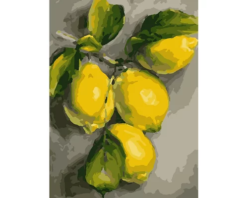 Картина по номерам Ветвь лимона 30*40 см. Santi код:953832