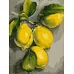 Картина за номерами Гілка лимона 30*40 див. Santi код:953832