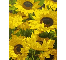Картина за номерами в подарунковій коробці Сонячні квіти 40*50 див. Santi код:953913