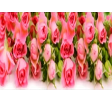 Алмазная мозаика Розовые розы 30*40см без рамки в коробке 39*8*5см код: H8332