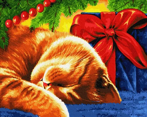 Картина за номерами Сонний кіт в Термопакет 40 * 50см (GX30732)