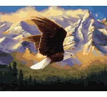 Картина по номерам Горный орел в термопакете 40*50см (GX32489)