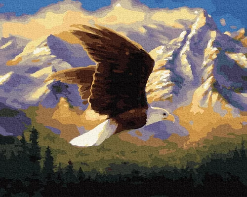 Картина за номерами Гірський орел в Термопакет 40 * 50см (GX32489)