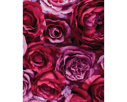 Картина по номерам Пионовидные розы 40х50 Brushme (GX36676)