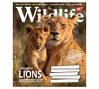 Зошит шкільний А5/18 лін. YES Wild life Зошит шкільний учнів. набір 25 шт (765865)