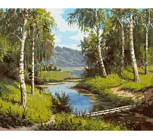 Картина по номерам Мостик через реку 40х50 (KHO2849)