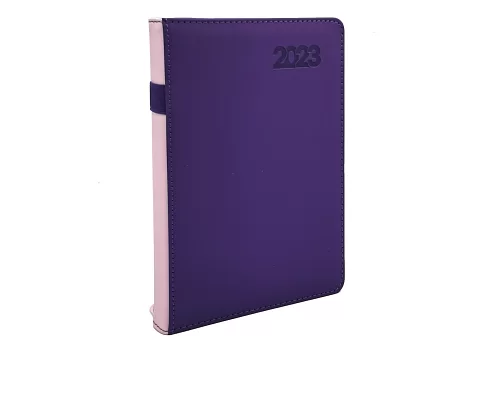 Ежедневник А5 Leo Planner датированный 2023 City фиолетовый (252366)