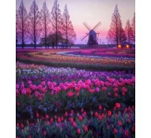 Алмазная мозаика Цветущая Голландия на подрамнике 30*40см  (Y0103)