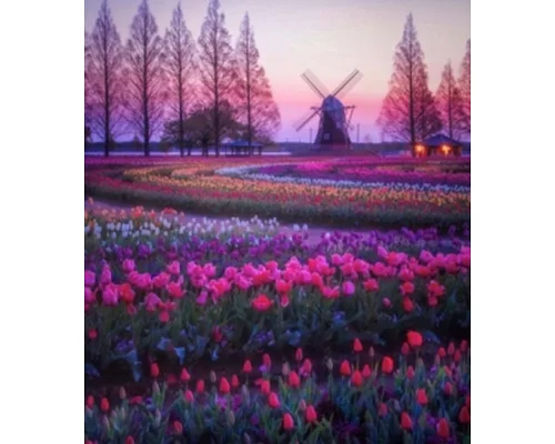 Алмазна мозаїка Квітуча Голландія на підрамнику 30*40 см (Y0103)