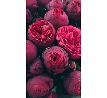 Алмазна мозаїка Англійські троянди на підрамнику 30*40 см (Y0040)