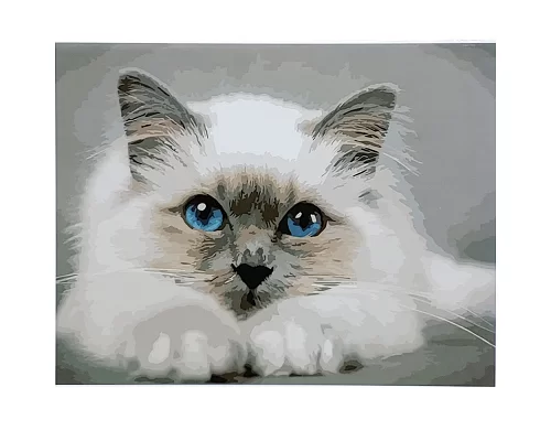 Картина за номерами Біленький котик розміром 40х50 см Strateg (SY6878)