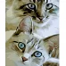 Картина за номерами Котяча цікавість розміром 40х50 см Strateg (SY6871)