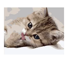 Картина за номерами  Маленьке кошеня розміром 40х50 см Strateg (VA-0522)