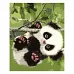 Картина за номерами  Маленька панда на гілці розміром 30х40 см Strateg (SV-0081)