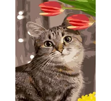 Картина за номерами  Милий котик розміром 40х50 см Strateg (SY6798)
