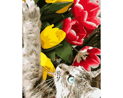 Картина за номерами  Котик з тюльпанами розміром 40х50 см Strateg (SY6810)