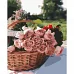 Картина за номерами ПРЕМІУМ Троянди у кошику розміром 40х50 см Strateg (GS233)