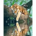 Картина за номерами  Відпочинок тигра розміром 40х50 см Strateg (GS215)