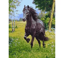 Картина за номерами  Вороний кінь розміром 40х50 см Strateg (GS134)