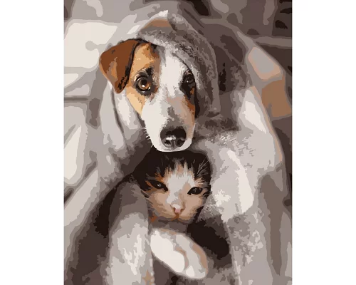 Картина за номерами  Пес та кіт розміром 40х50 см Strateg (DY224)