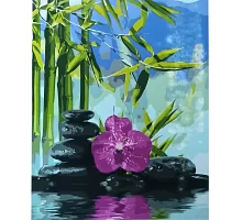 Картина за номерами Орхидея на камне 40х50 см Strateg (GS027)
