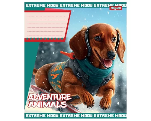 Зошит шкільний А5/18 лінія 1В Adventure animals  набір 25 шт. (766337)