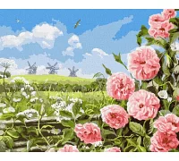 Картина по номерам Нежность полей Аlessandro Remi 40х50 Идейка (KHO6321)