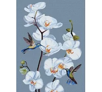 Картина по номерам Цветущие орхидеи annasteshka 30х40 Идейка (KHO3241)