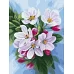 Картина за номерами Цвітіння яблуні annasteshka 30х40 Ідейка (KHO3240)