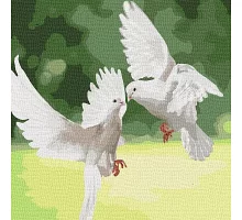 Картина по номерам Белоснежные голуби 40х40 Идейка (KHO4149)