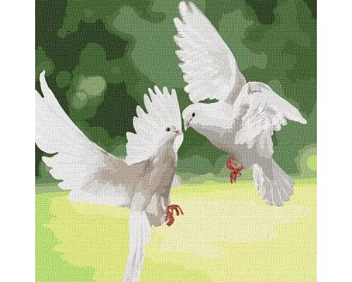 Картина за номерами Білосніжні голуби 40х40 Ідейка (KHO4149)