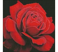 Алмазная мозаика Красная роза annasteshka Идейка 40х40 (AMO7634)