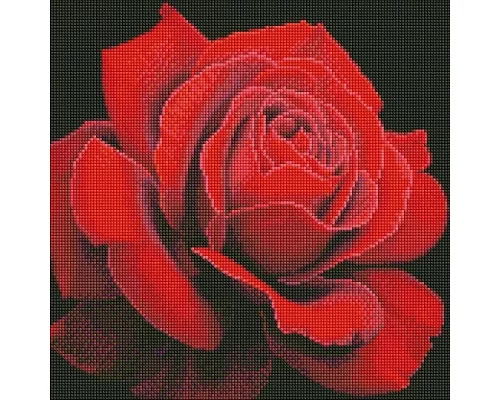 Алмазная мозаика Красная роза annasteshka Идейка 40х40 (AMO7634)