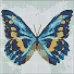 Алмазна мозаїка без підрамника Блакитний метелик з голограмними стразами (AB) Идейка 20х20 (AMC7679)