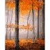Картина за номерами Чарівна осінь з лаком та з рівнем 40х50 см Strateg (GS1356)