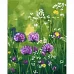 Картина за номерами Ніжність польових квітів 40х50 см Strateg (GS1458)
