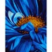 Картина за номерами Золота середина квітки 40х50 см Strateg (GS1490)
