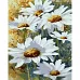 Картина за номерами Ніжний цвіт ромашки 40х50 см Strateg (GS1519)
