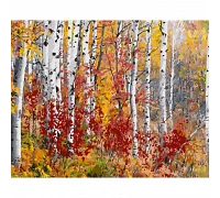 Картина за номерами Березовий ліс восени з лаком та з рівнем 40х50 см Strateg (GS1523)