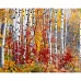 Картина за номерами Березовий ліс восени 40х50 см Strateg (GS1523)