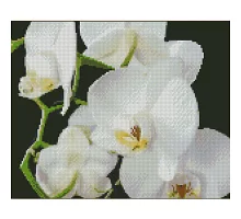 Алмазна мозаїка Білі орхідеї 30х40 см Strateg (KB011)