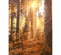 Картина за номерами Вечір у сосновому лісі з лаком 30х40 см Strateg (SS6790)