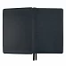 Щоденник датований 2024 Leo Planner Case графит (252425)