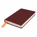 Щоденник датований 2024 Leo Planner Destiny з твердою обкладенкою коричневий (252436)