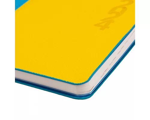 Щоденник А5 датований 2024 Leo Planner Destiny з твердою обкладинкою жовто-блакитний (252465)