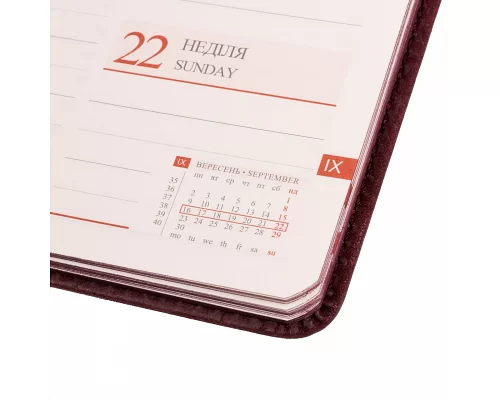 Ежедневник датированный 2024г 10х15см Leo Planner Case 128 ст (252464)